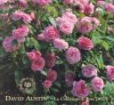 Catalogo David Austin 2007-2008