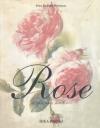 Rose, il profumo dei fiori