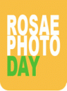 Rosae Photo Day