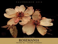 Calendario Rosemania 2010 copertina