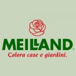 Meilland